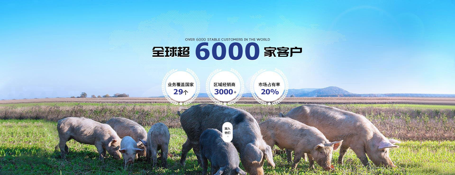 凯发AG·(中国区)官方网站-饲料添加剂市场